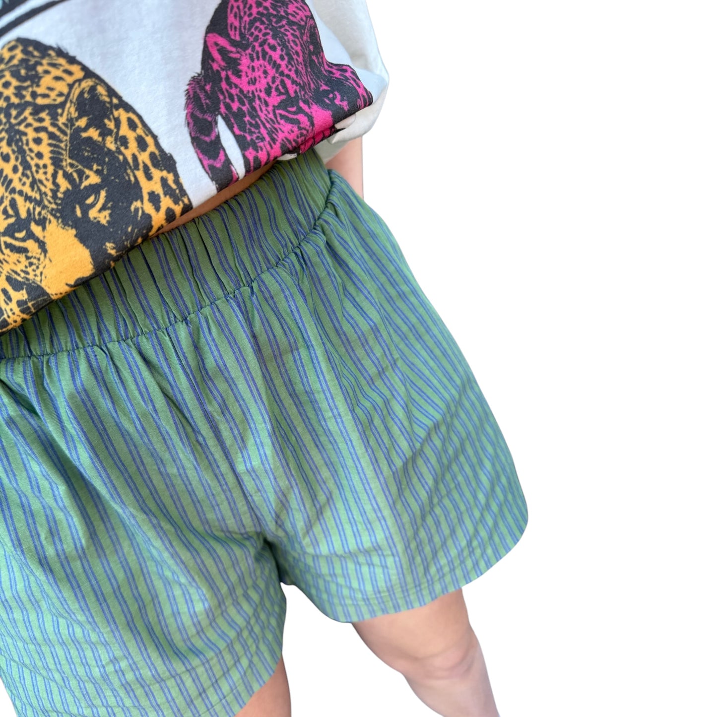 Green with Envy Stripe Boxer Shorts
